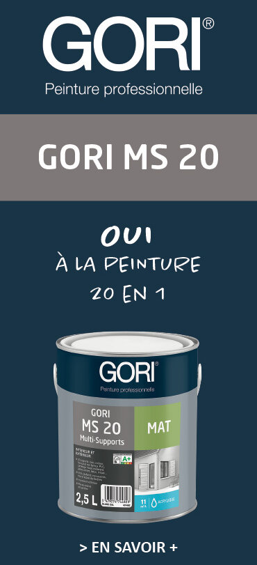 Peinture Gori MS 20
