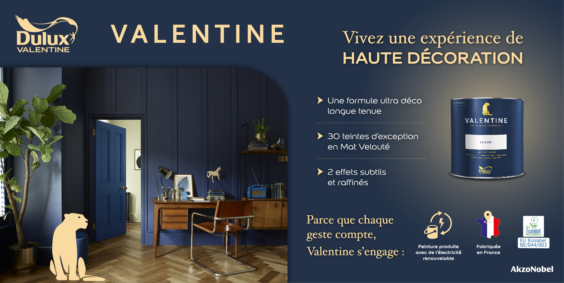 AKZO 2 CASES H H390xL777_Valentine