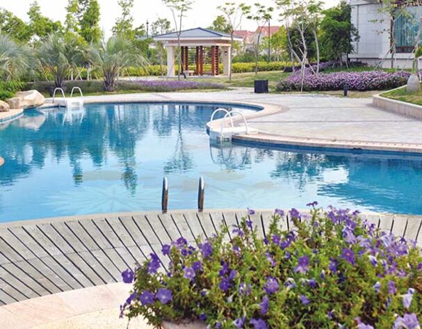 Visuel - Découvrir notre article