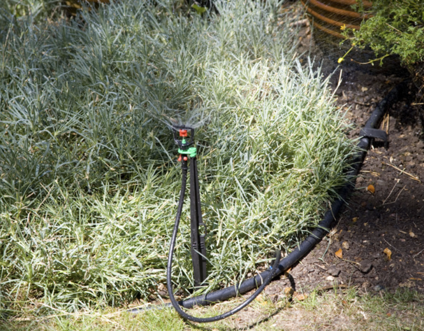 Visuel - Découvrir notre vidéo