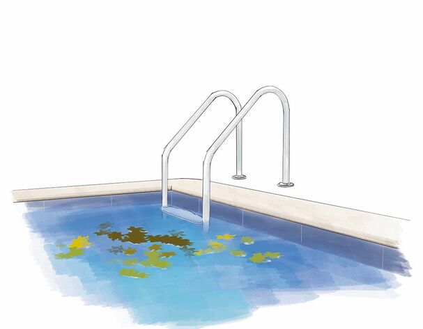 Visuel - Découvrir notre article